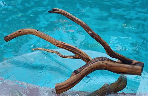 Manzanita Driftwood For Aquarium Terrarium Aquascape 271615 Etsy