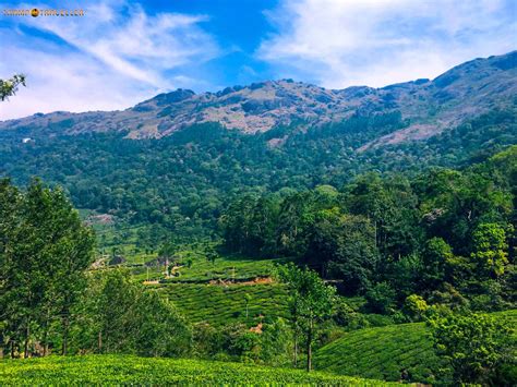 pothamedu view point munnar tramptraveller