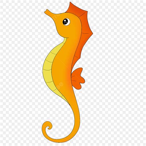 Orange Seahorse Clipart Vector Orange Seahorse Clip Art Seahorse