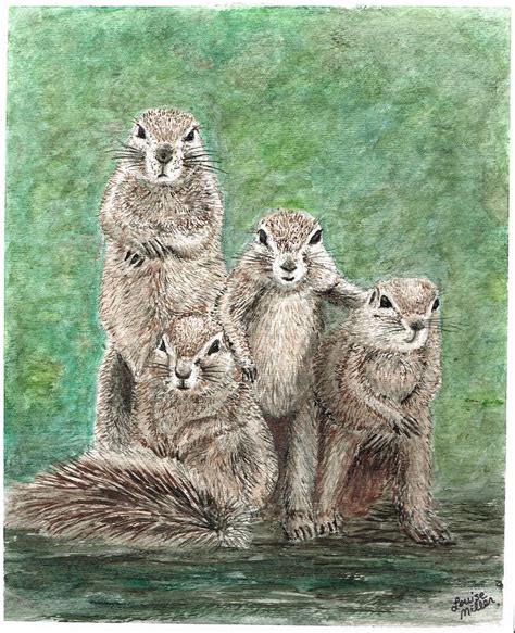 Groundhog Painting At Explore Collection Of