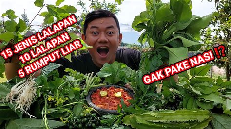 Mukbang Lalapan Mentah Jenis Lalapan Jenis Rumput Liar Sambal