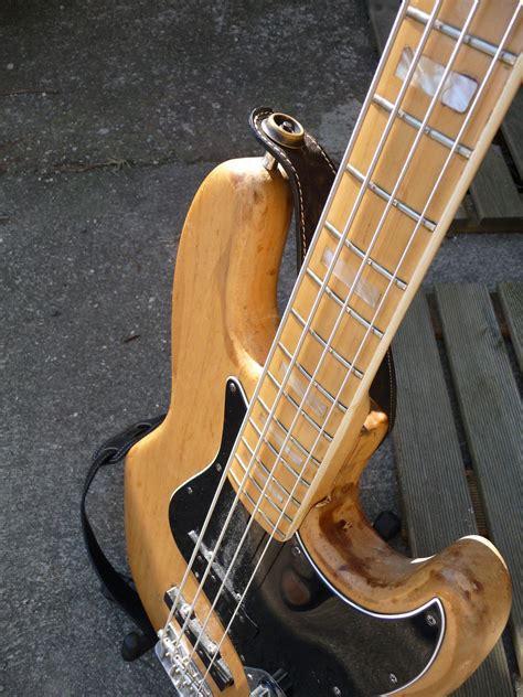 Alder or Swamp Ash ? | TalkBass.com