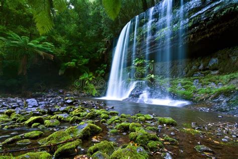 Russell Falls waterfall stock photo. Image of clear, cascading - 17651910