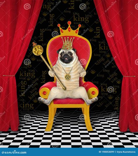 Pug King With Scepter On Throne Stock Illustration Illustration Of