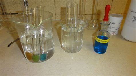 Hemel Hempstead Private Tuition: Starch Amylase Experiment