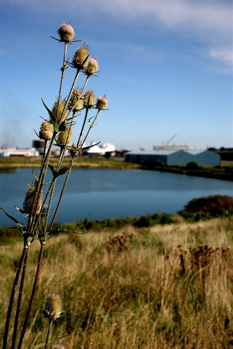 Finding Your Way to Tesco Extra at Birkenhead Bidston Moss 4