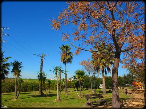 Chucena Huelva Jose A Flickr