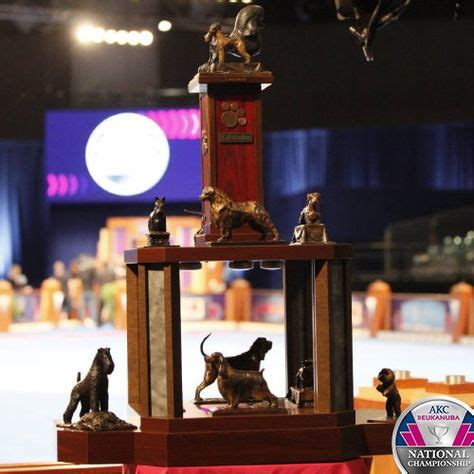 27 AKC / Eukanuba dog show ideas | dog show, akc, national championship