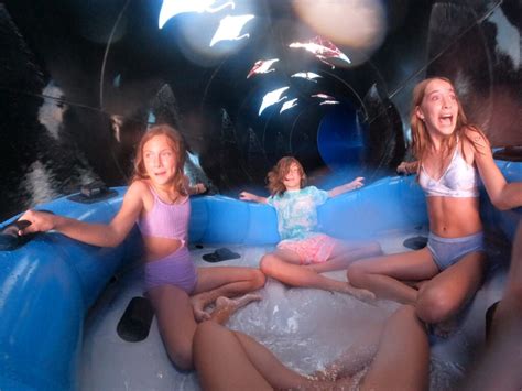 You are sure to have a big SPLASH of Fun at Aquatica Orlando