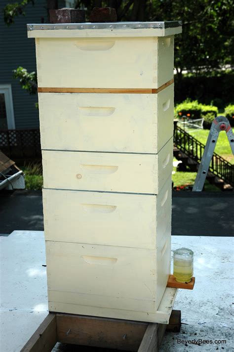 Inspecting The Two Queen Hive System Beverly Bees