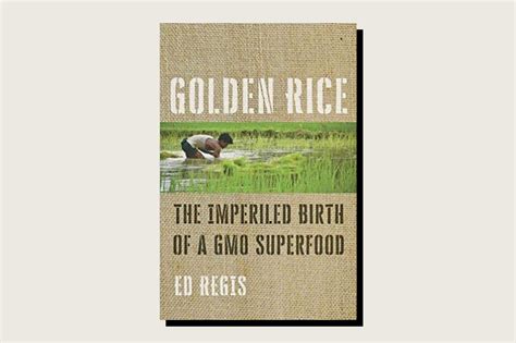 The True Story Of Golden Rice The Genetically Modified Superfood That