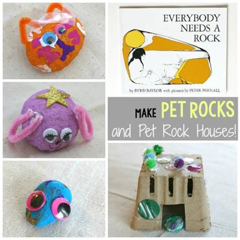 15 Fun Pet Rock Ideas The Best Ideas For Kids