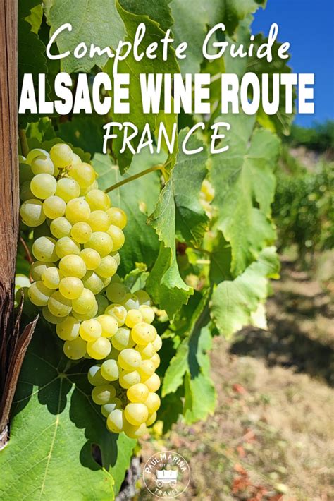 Alsace Wine Route: The Complete Guide