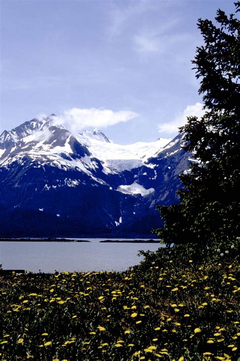 Destinations: Haines, Alaska - Expedition Portal