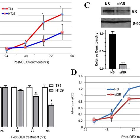 Cdk Regulates Proliferation And Invasion Of Metastatic Colon Carcinoma