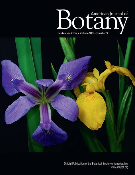 American Journal of Botany