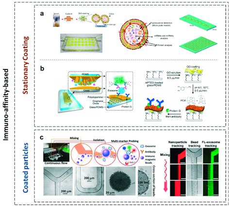 Immuno Affinity Based Exosome Separation A The Exochip And Its