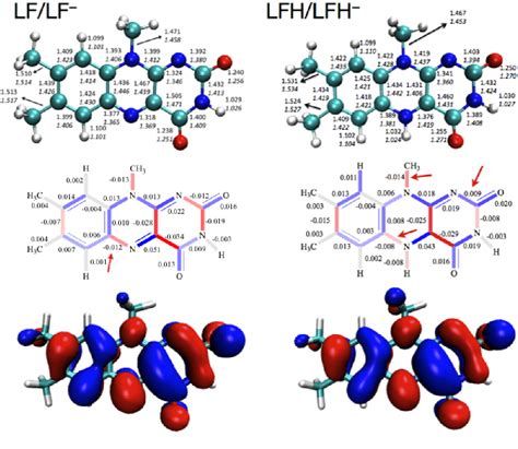 Figure 3 3 From First And Second One Electron Reduction Of Lumiflavin