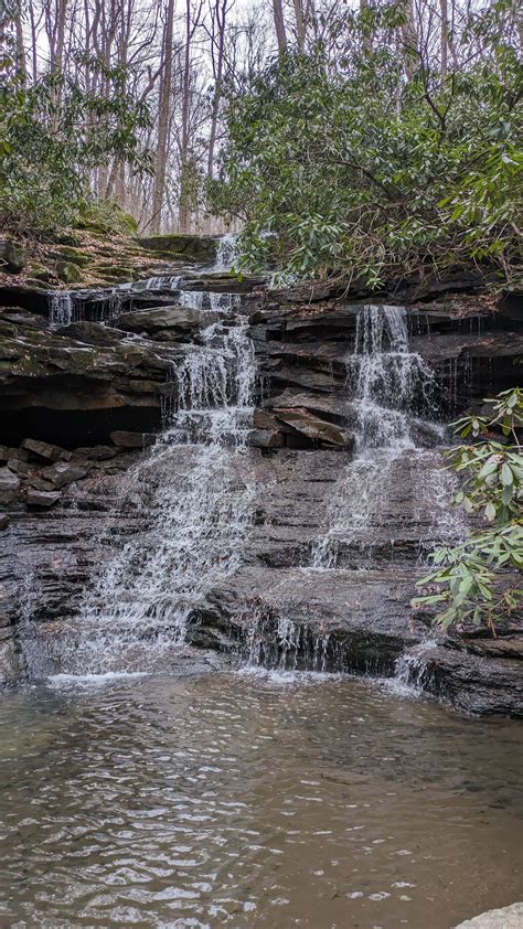 Guided Hikes Lorain Stoneycreek Hiking Trails