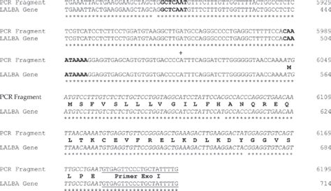 Continued Dna Sequence Analysis Of The Amplified Nested Pcr Segment