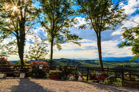 The Beautiful Vineyard Of Collio Friuli Venezia Giulia Italy Stock