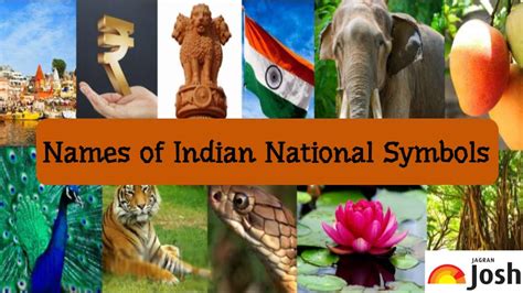 Indian National Symbols And Their Meanings