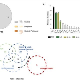 figure overview   ee studies included  revision  pie chart