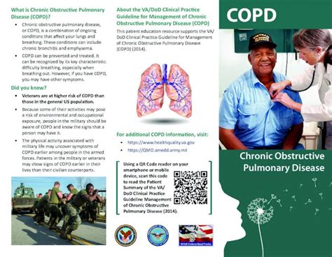 Pdf Copd United States Army Copd Chronic Obstructive