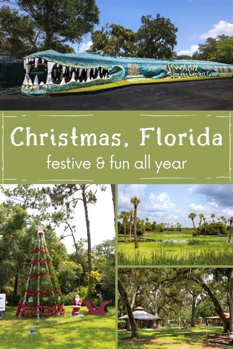 Christmas, Florida | Florida christmas, Florida in december, Florida