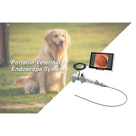 Portable Veterinary Endoscope System - Medical Supplies Australia ...