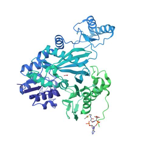 RCSB PDB 7ZZ5 Cryo EM Structure Of BC Open Conformation Of