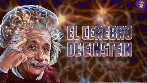 Por Qu Albert Einstein Era Tan Inteligente Unam Global