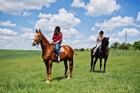 tempat wisata naik kuda  bogor  cocok  anak anak