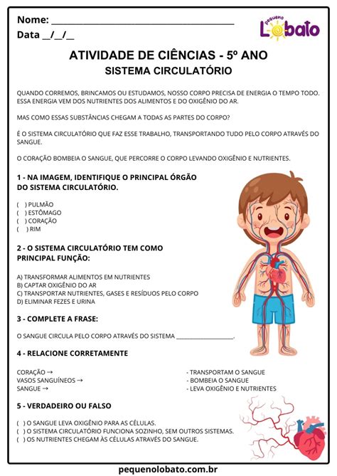 Atividades de Ciências 5º Ano – Sistema Circulatório: Distribuição de ...