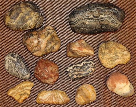 Prairie Agates Buffalo Gap National Grasslands South Dakota Rock