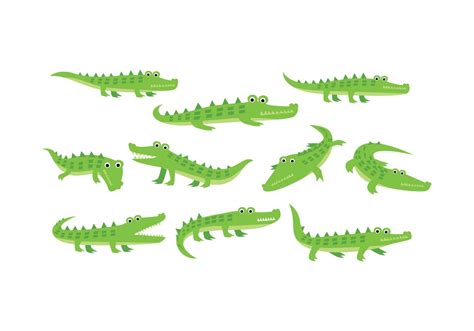 Free Gator Vector 131998 Vector Art at Vecteezy