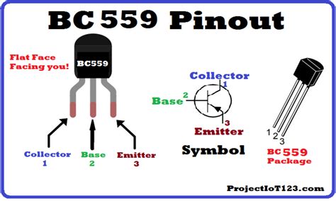 Basics Of Bc 559