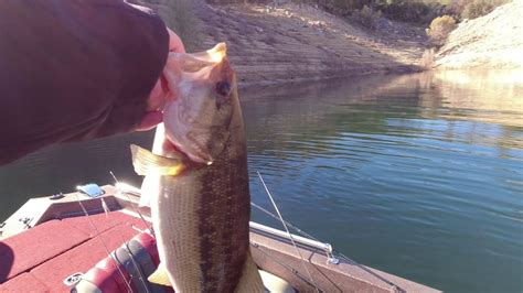 First Time Fishing Lake Oroville In Over 5 Years Youtube