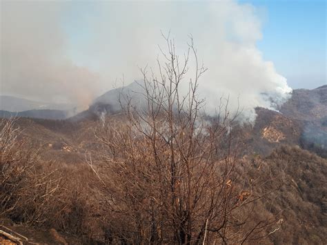 La Regione proclama lo stato di massima pericolosità per gli incendi