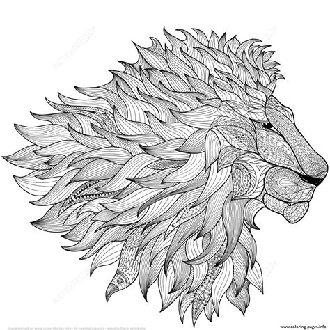 Lion Zentangle Adults Coloring Pages Printable