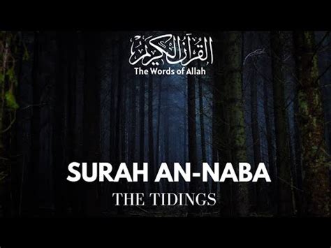 Surah An Naba The Tidings Recited By Rizlabinthameen