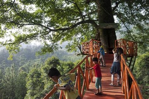 Wisata Alam Curug Cipamingkis - Bisnis.com