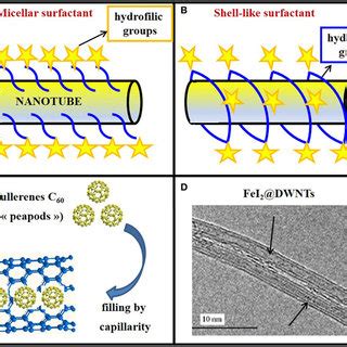 Exohedral And Endohedral Functionalization Of Cnts A Non Covalent