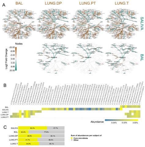 Differential Abundance Between Lung And Salivary Microbiota And Their