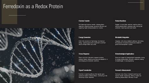 Ferredoxin Electron Transfer Protein Photosynthesis PPT Example ST AI ...