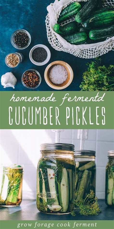 Homemade Fermented Cucumber Dill Pickles Recipe Fermented Pickles