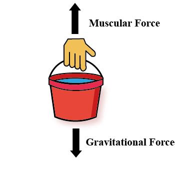 Unbalanced Force Diagram