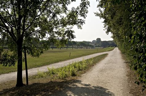 Parco Teodorico Ravenna Lodview