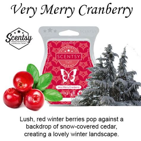 Very Merry Cranberry Scentsy Bar The Candle Boutique Scentsy