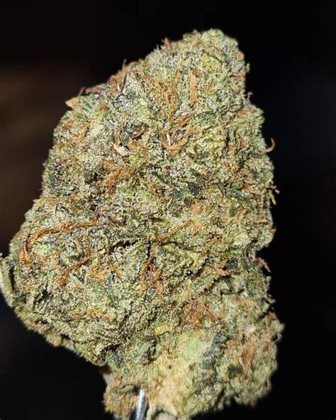 Strain Review Original Z By Doja Pak The Highest Critic